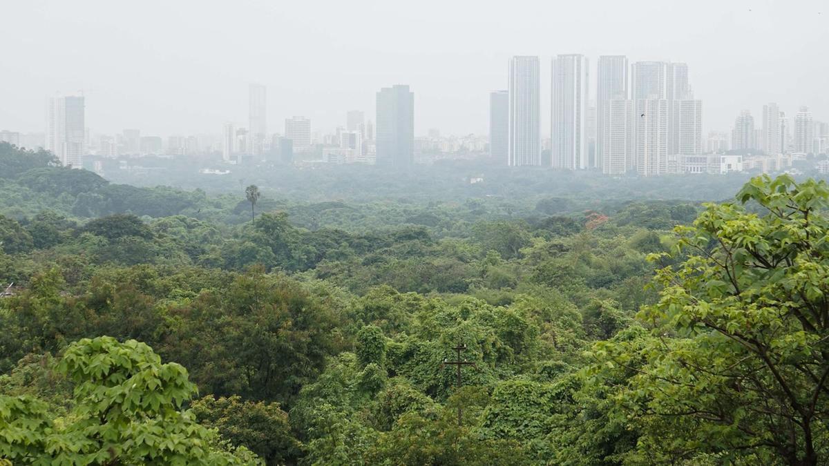 The forest dwellers fighting to save Mumbai’s green lung from urbanisation